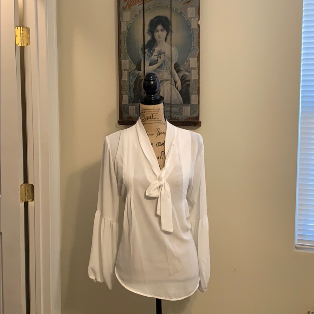 Sheer Banana Republic Blouse